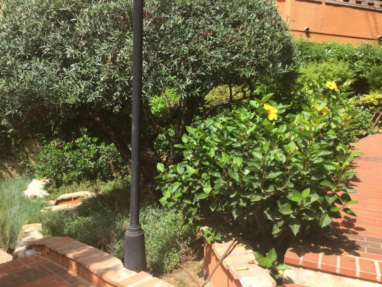 Atico Milla De Oro Marbella