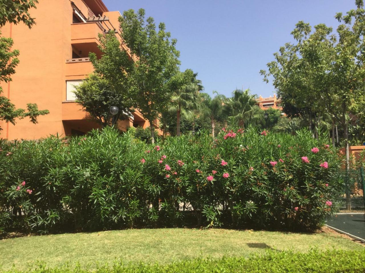 Atico Milla De Oro Appartement *