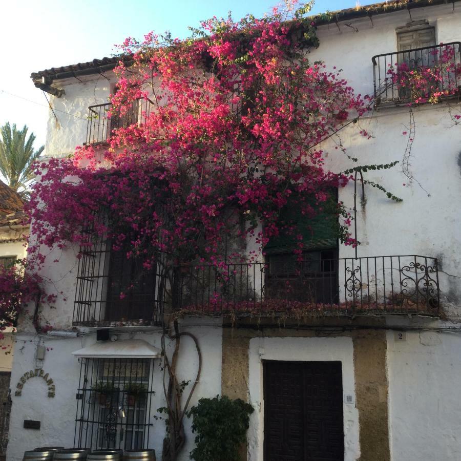 Atico Milla De Oro * Marbella